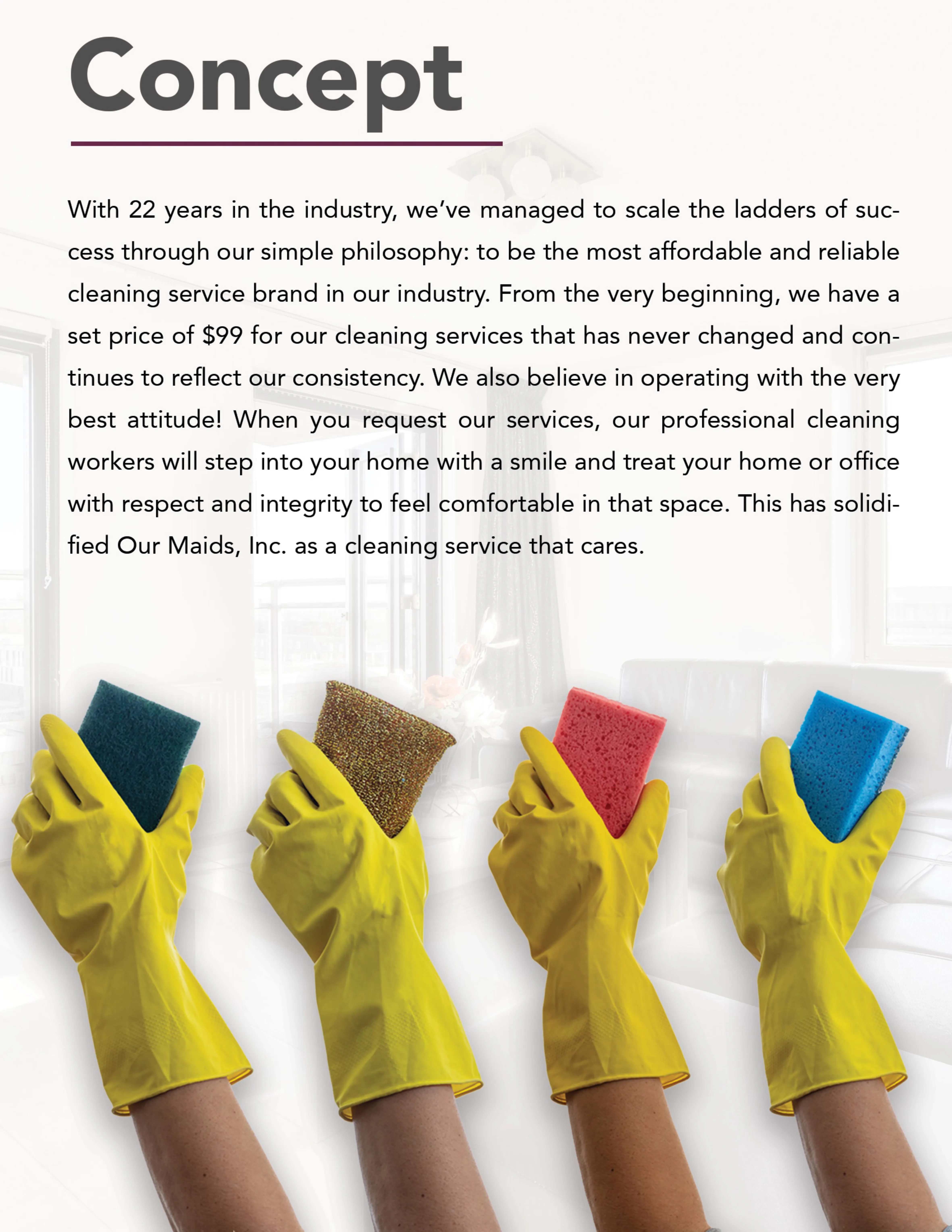 Professiona l Deep Cleaning Services